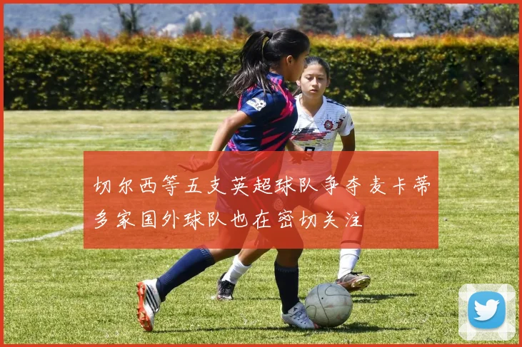 切尔西等五支英超球队争夺麦卡蒂多家国外球队也在密切关注